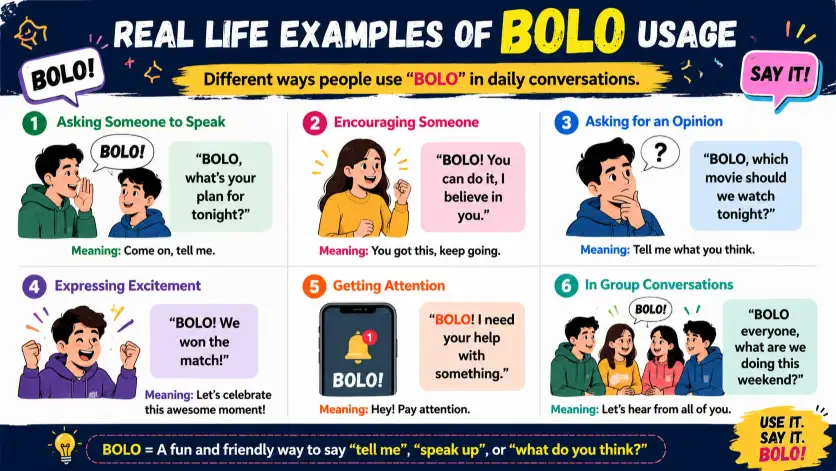 Real Life Examples of BOLO Usage