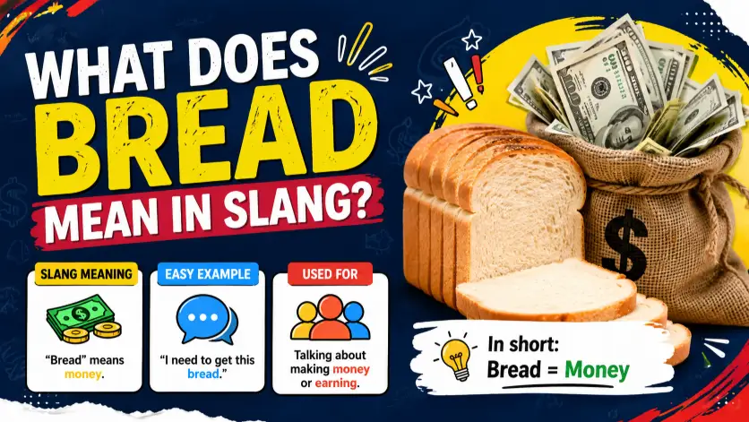 What Does Bread Mean in Slang