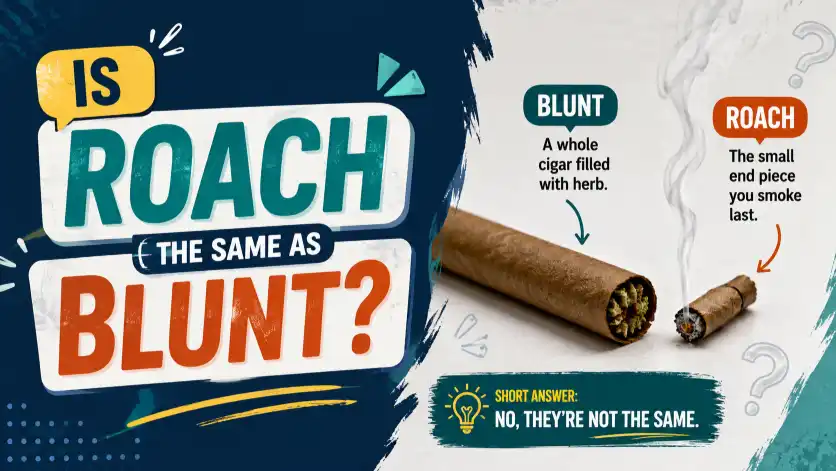 Is “Roach” the Same as “Blunt”?
