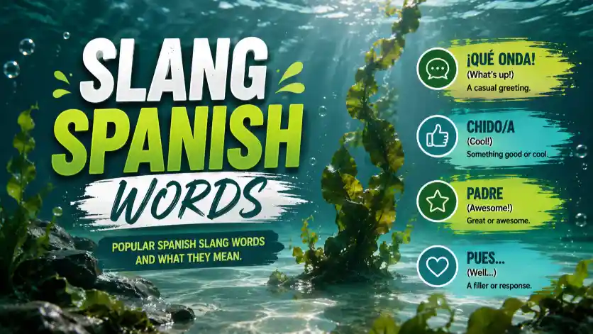 Slang Spanish Words