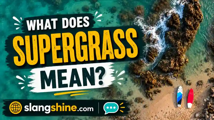 What Does “Supergrass” Mean?