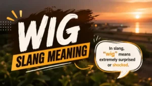 Wig Slang Meaning