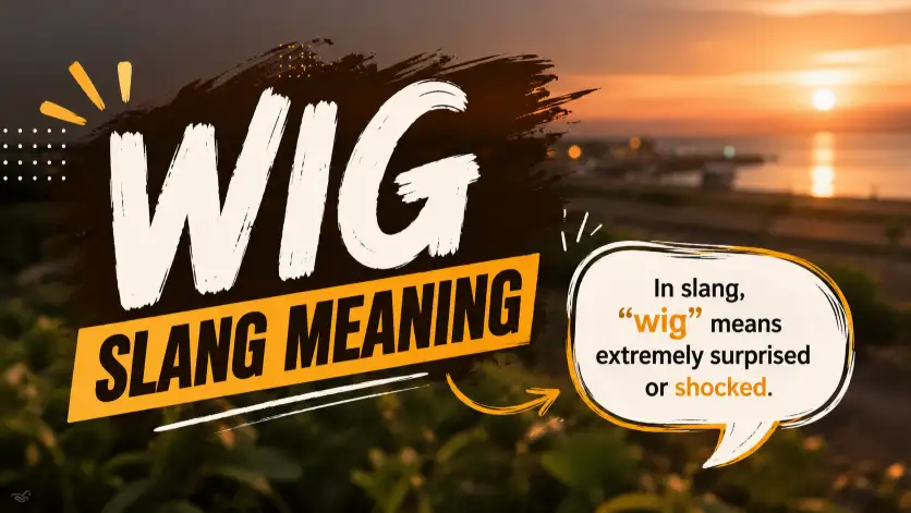 Wig Slang Meaning