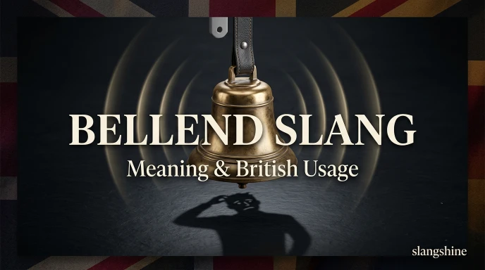 Bellend Slang